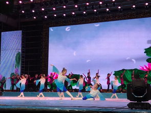 《祖國(guó)永遠(yuǎn)是春天》——小江精品藝術(shù)學(xué)校2025年專場(chǎng)春節(jié)文藝演出暨廣播電視節(jié)目制作紀(jì)實(shí)