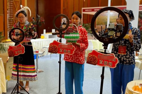 紅星觀察丨主播經紀首度納入行政監管，《網絡表演經紀機構管理辦法》征求意見稿解讀