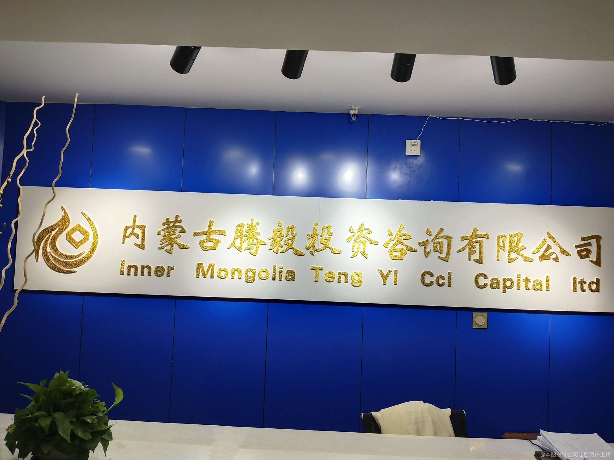 騰毅投資咨詢 您的專業投資智囊，助力財富穩健增長